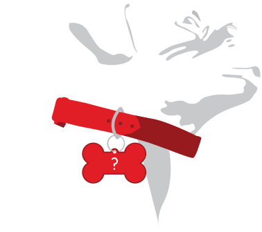 Illustrated dog
