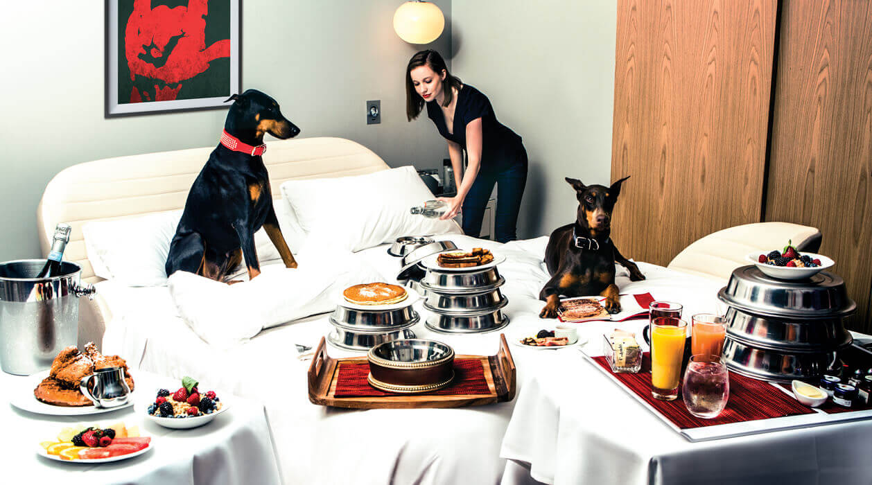 Pet friendly hotel in New Orleans